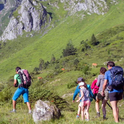 Randonn&eacute;e d&eacute;couverte pr&egrave;s de Lourdes, Argel&egrave;s Gazost et Pau