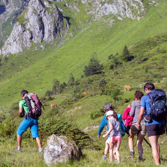 Randonnée découverte près de Lourdes, Argelès Gazost et Pau