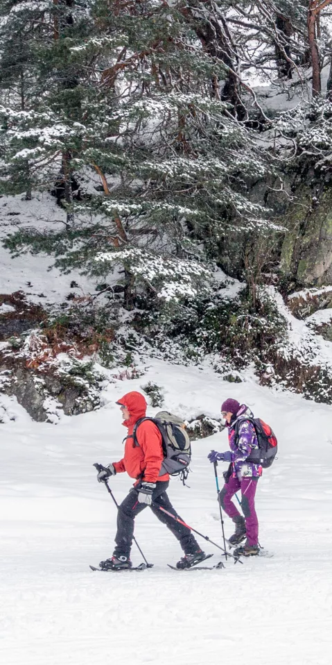 Sorties raquettes dans les Pyr&eacute;n&eacute;es