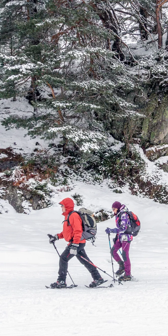 Sorties raquettes dans les Pyrénées